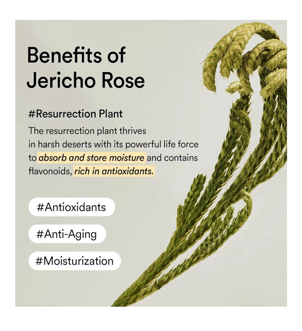 Abib Jericho Rose Collagen Eye Cream Tube - Contorno de Ojos Nutritivo con Colágeno 30ml